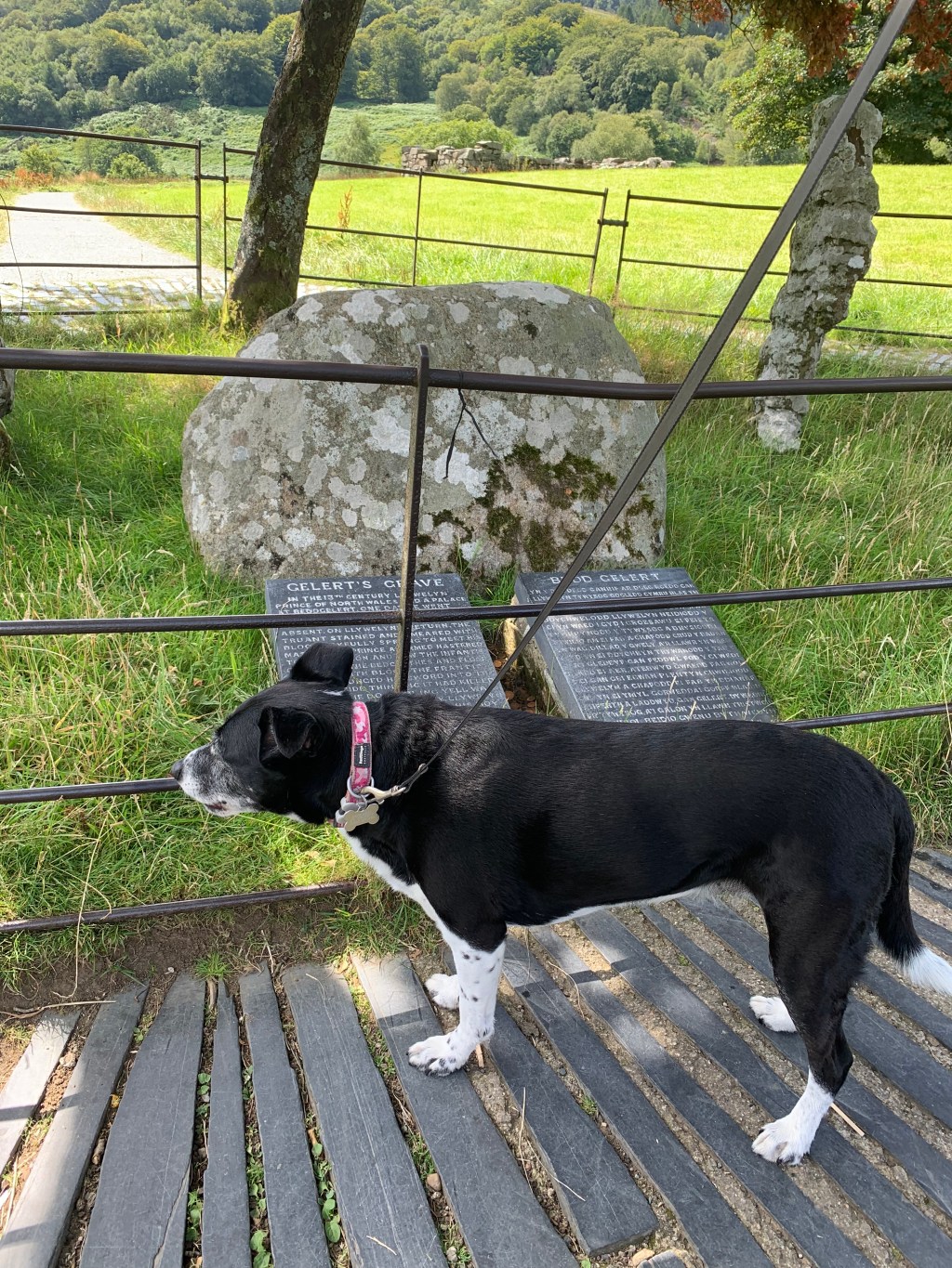 Wanderings in Wales #2:&nbsp;Beddgelert
